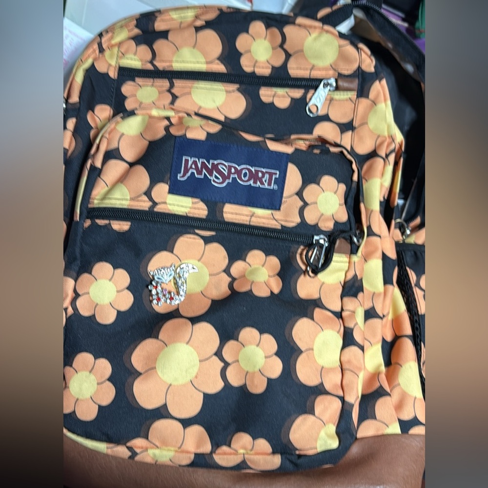 Pick one jansport and arctic Backpack - Picture 1 of 2